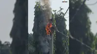 बिजली पोल में जंक्शन बॉक्स धू-धूकर जला, केबल तार खाक; घंटों गुल रही बिजली