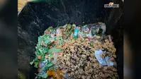 मिलावटखोरों की खैर नहीं!देवघर में भारी मात्रा में पेड़ा-छोला नष्ट