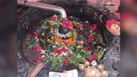 पूर्णिया का मिनी बाबाधाम! यहां विराजमान हैं अद्भुत आपरूपी शिवलिंग, 105 किमी पैदल चलकर जल चढ़ाते हैं कांवरिये