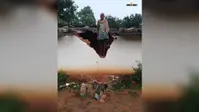 सो रहे थे परिवार के सदस्य, अचानक जंगली हाथी ने ढहाया घर
