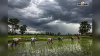 12 से 16 अगस्त तक छाए रहेंगे घने बादल, कई जिलों में गरज-चमक के साथ बारिश के आसार