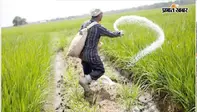 सिमडेगा में निर्धारित दर से अधिक कीमतों पर बेचा जा रहा खाद, किसान परेशान
