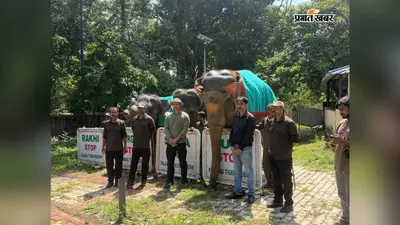विश्व हाथी दिवस पर बेतला में गूंजा संरक्षण का संदेश, महावतों को किया गया सम्मानित