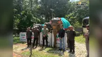 विश्व हाथी दिवस पर बेतला में गूंजा संरक्षण का संदेश, महावतों को किया गया सम्मानित