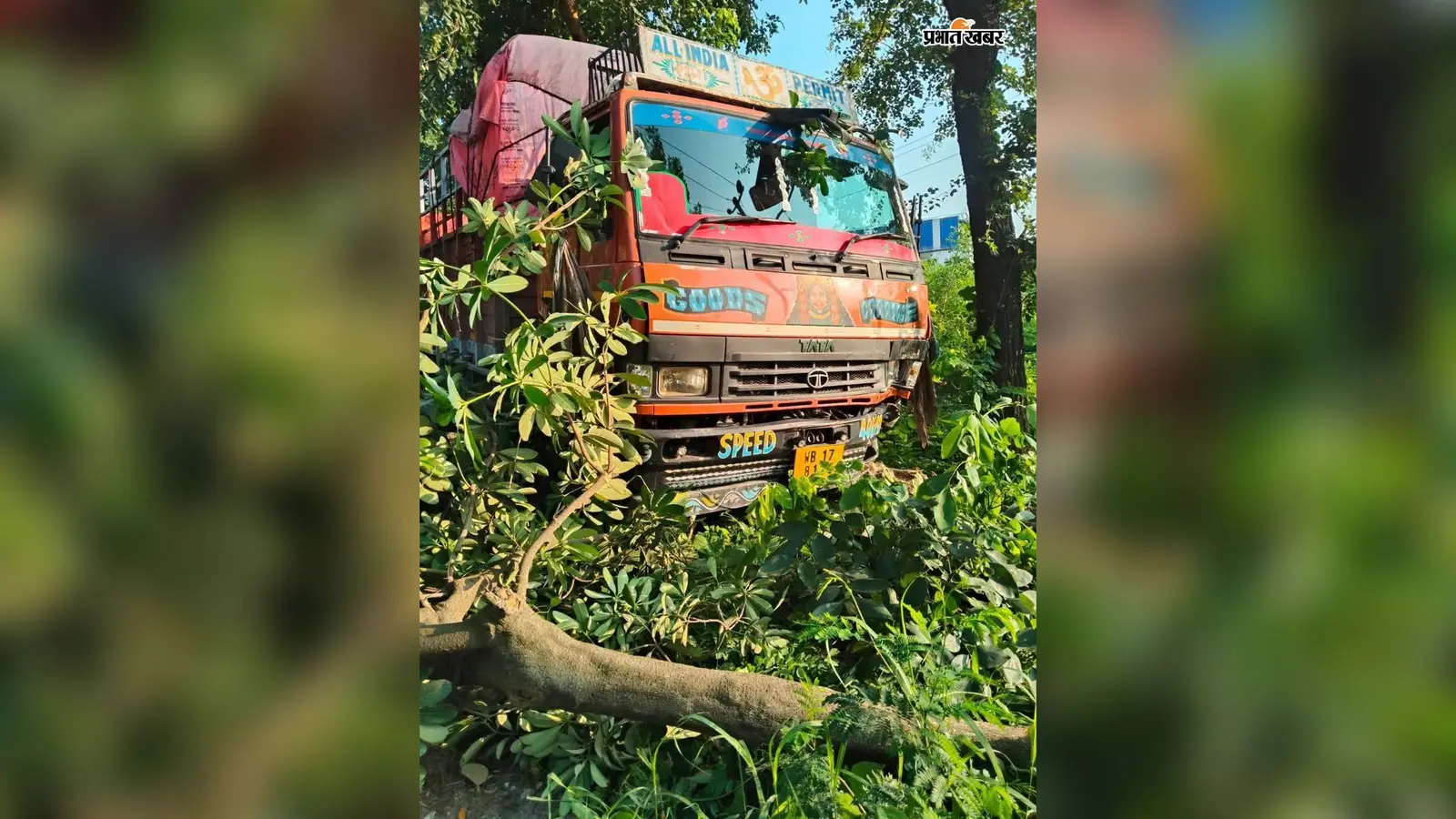 एनएच-28 पर अनियंत्रित होकर पेड़ से टकराया ट्रक, बिस्किट के डिब्बे लूटने की ग्रामीणों में मची होड़