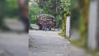 महानंदा कॉलोनी में पेड़ों की कटाई पर विवाद, बिना एनओसी हरे पेड़ काटने का आरोप
