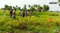 नवविवाहिता की मौत के मामले में ससुर गिरफ्तार, पति समेत चार पर प्राथमिकी, अन्य आरोपितों की तलाश जारी