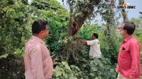 दाउदनगर में बिजली आपूर्ति सुधारने की कवायद, टाउन फीडर वन का लोड होगा कम