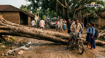 गिरिडीह-जामताड़ा मुख्य मार्ग पर छह दिन से पड़ा है बरगद का तना, राहगीर परेशान