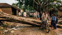 गिरिडीह-जामताड़ा मुख्य मार्ग पर छह दिन से पड़ा है बरगद का तना, राहगीर परेशान