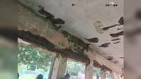 400 बच्चों पर मंडरा रहा खतरा! नरौली स्कूल की जर्जर छत से हादसे की आशंका