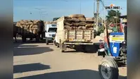 गुलाबबाग मंडी में मक्का का बाजार गरम, नई फसल से पहले जूट के भाव में लगातार गिरावट से किसान चिंतित