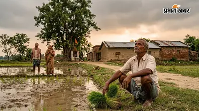 अश्लेषा नक्षत्र शुरू, बांका के किसान अच्छी बारिश का कर रहे इंतजार, उमस से राहत के मिलने के आसार