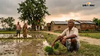 अश्लेषा नक्षत्र शुरू, बांका के किसान अच्छी बारिश का कर रहे इंतजार, उमस से राहत के मिलने के आसार