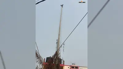 वर्षों से बिना लाइट के खड़े हैं हाईमास्ट खंभे, जर्जर व्यवस्था पर नगर परिषद से लाइट और CCTV लगाने की उठी मांग