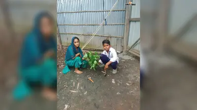 'एक पेड़ मां के नाम 3.0' अभियान के तहत UMS गोथरा में पौधारोपण, शिक्षा मंत्रालय ने दिया पार्टिसिपेशन सर्टिफिकेट