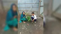 'एक पेड़ मां के नाम 3.0' अभियान के तहत UMS गोथरा में पौधारोपण, शिक्षा मंत्रालय ने दिया पार्टिसिपेशन सर्टिफिकेट