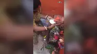 मेदनीटांड़ में नंदी महाराज के दूध पीने की चर्चा, दर्शन को उमड़ी भीड़