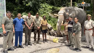 World Elephant Day: हाथियों के लिए वंतारा की बड़ी पहल, जयपुर से ग्लोबल मिशन तक बढ़ा दायरा