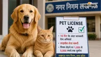 UP में अब कुत्ता-बिल्ली पालने के लिए भी लेना होगा लाइसेंस, 15 दिन के अंदर देनी होगी जानकारी, जाने पूरा नियम