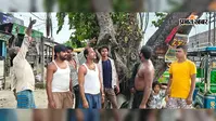 खगड़िया के करुआ मोड़ चौक पर खड़ा खोखला बरगद बना खतरा, दुकानदारों ने कहा कभी भी हो सकता है बड़ा हादसा