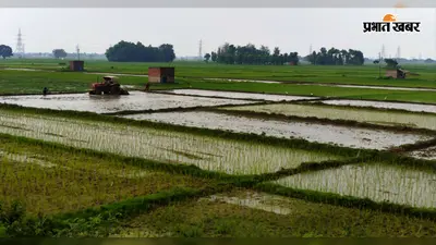 बक्सर: डुमरांव में तीन दिनों से उमसभरी गर्मी से लोग बेहाल, 36 डिग्री पहुंचा पारा