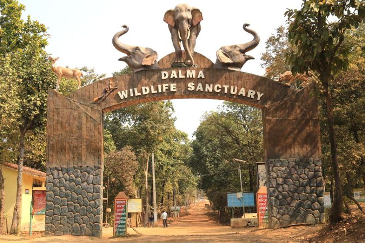 दलमा वाइल्डलाइफ 