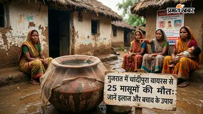 चांदीपुरा वायरस: गुजरात में 5 सप्ताह में 25 बच्चों की मौत, जानें इलाज और बचाव के उपाय
