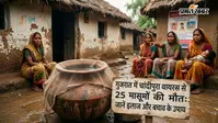 चांदीपुरा वायरस: गुजरात में 5 सप्ताह में 25 बच्चों की मौत, जानें इलाज और बचाव के उपाय