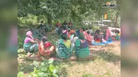 लोध फॉल की खूबसूरती और सुरक्षा पर मंथन, जंगल बचाने के साथ ग्रामीणों को रोजगार से जोड़ने पर जोर