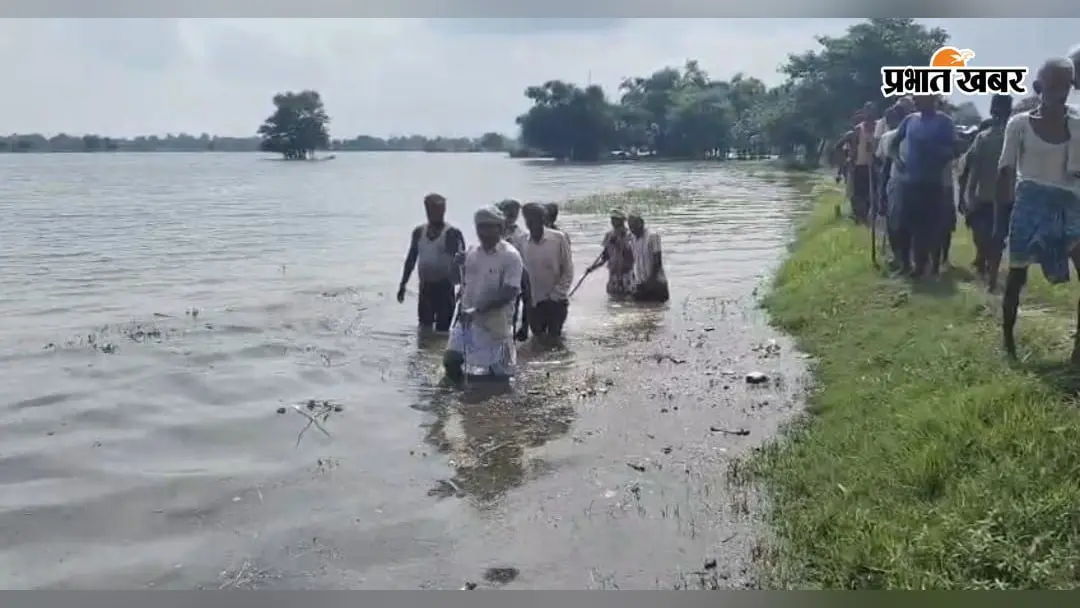 मोतिहारी: करोड़ों खर्च फिर भी नहीं बचा बांध, पसाह नदी का पानी भरने से हजारों एकड़ धान डूबा