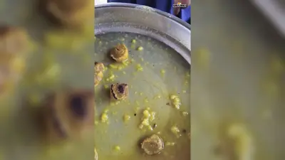 मध्य विद्यालय पथरदेवा में एमडीएम में कीड़ा-बाल मिलने की शिकायत, छात्रों और अभिभावकों का विरोध
