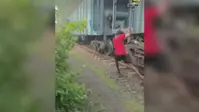 चलती मालगाड़ी पर खतरनाक स्टंट! कोयला चोरी के लिए नाबालिगों ने दांव पर लगाई जान, वीडियो वायरल