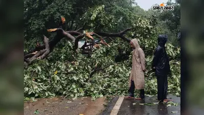 पलामू टाइगर रिजर्व में भारी बारिश से नदियां उफान पर, जनजीवन प्रभावित