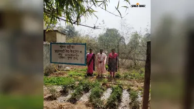 हरियाली से खुशहाली: सिमडेगा की पोषण वाटिकाओं से संवर रहा बच्चों का बचपन
