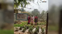 हरियाली से खुशहाली: सिमडेगा की पोषण वाटिकाओं से संवर रहा बच्चों का बचपन