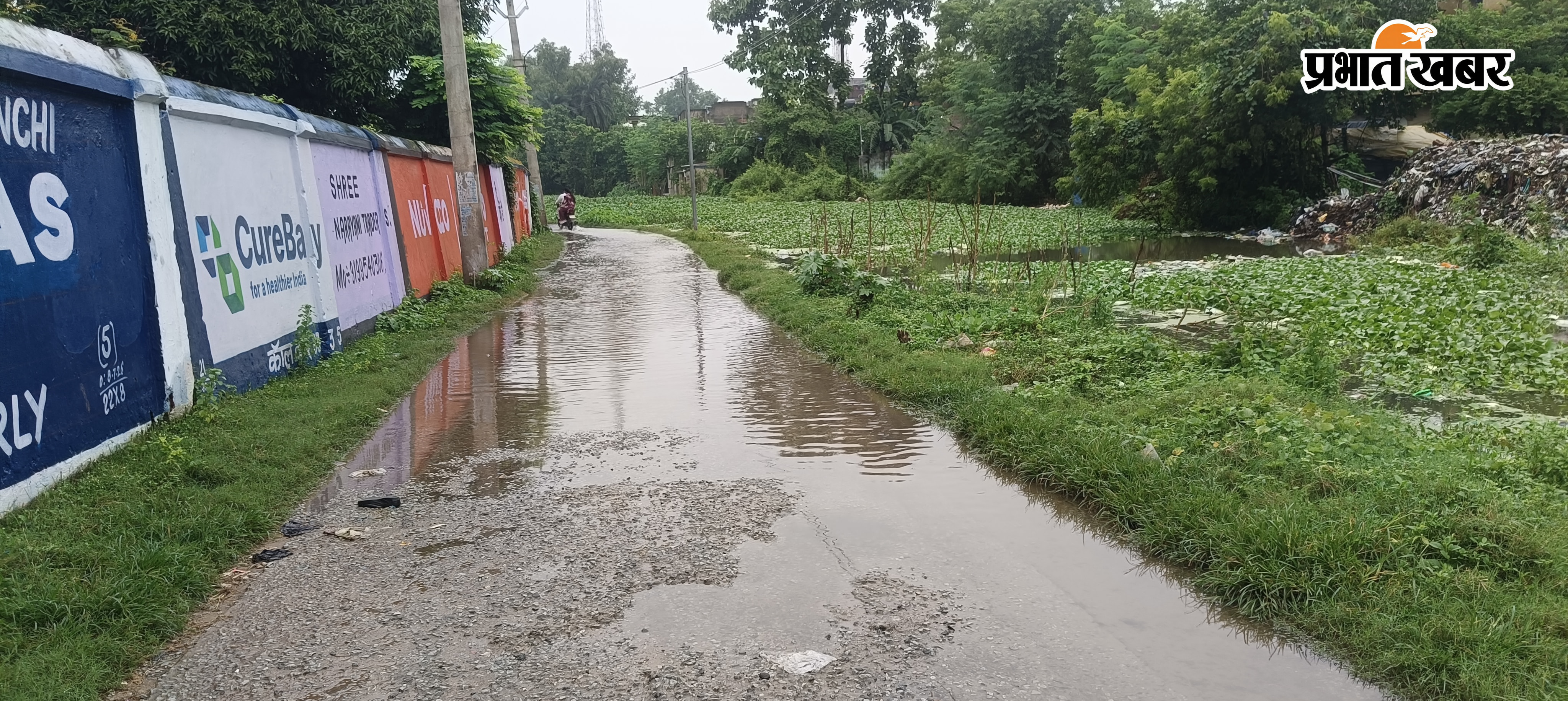 दंदासाईं वार्ड संख्या 5 की सड़क जलमग्न रानी स्कूल रोड में तालाब का पानी से सड़क जलमग्न रेलवे क्षेत्र के जी ब्लॉक में गिरा विशाल पेड़ | Prabhat Khabar Network