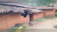 खूंटी में जंगली हाथियों का आंतक, दो किसानों के घर किया क्षतिग्रस्त