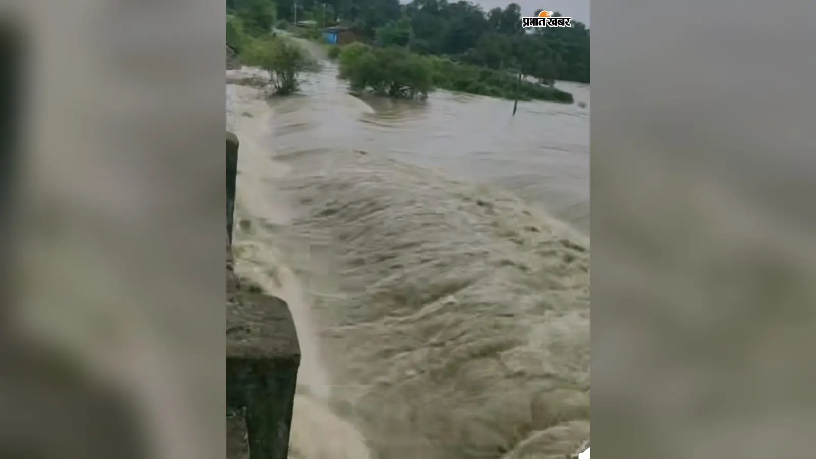 उफान पर वैतरणी नदी, दर्जनों गांवों और घरों में घुसा पानी, जनजीवन अस्त-व्यस्त