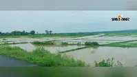 चंपुआ: 24 घंटे में 222.2 मिमी हुई बारिश, 35 घरों में घुसा पानी