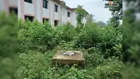 कितनी बारिश हुई, किसी को नहीं पता! रानीश्वर का इकलौता जलमापक यंत्र महीनेभर से खराब