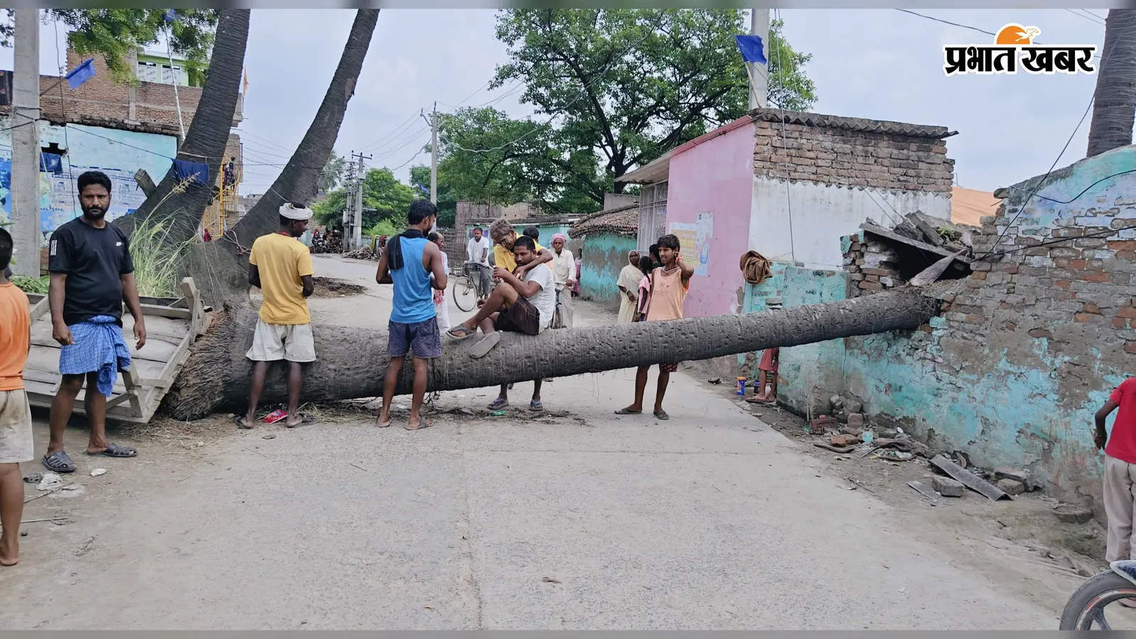 सारण के शंकरडीह में महादलित के घर पर गिरा 60 फीट का पेड़, मकान ध्वस्त; तीन दिन से सड़क बंद, परिवार बेघर