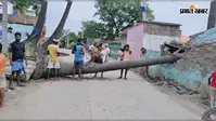 सारण के शंकरडीह में महादलित के घर पर गिरा 60 फीट का पेड़, मकान ध्वस्त; तीन दिन से सड़क बंद, परिवार बेघर