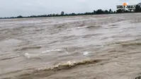 नेपाल में 15 अगस्त से भारी बारिश का अलर्ट, कोसी नदी में बढ़ सकता है पानी, 34 फाटक खुल चुके हैं