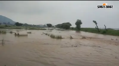 Bhima Barrage Flood: भीम बराज में बढ़ा बाढ़ का दबाव, कटे तटबंध से खेतों में घुसा पानी; धान की फसल डूबने लगी