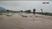 Bhima Barrage Flood: भीम बराज में बढ़ा बाढ़ का दबाव, कटे तटबंध से खेतों में घुसा पानी; धान की फसल डूबने लगी
