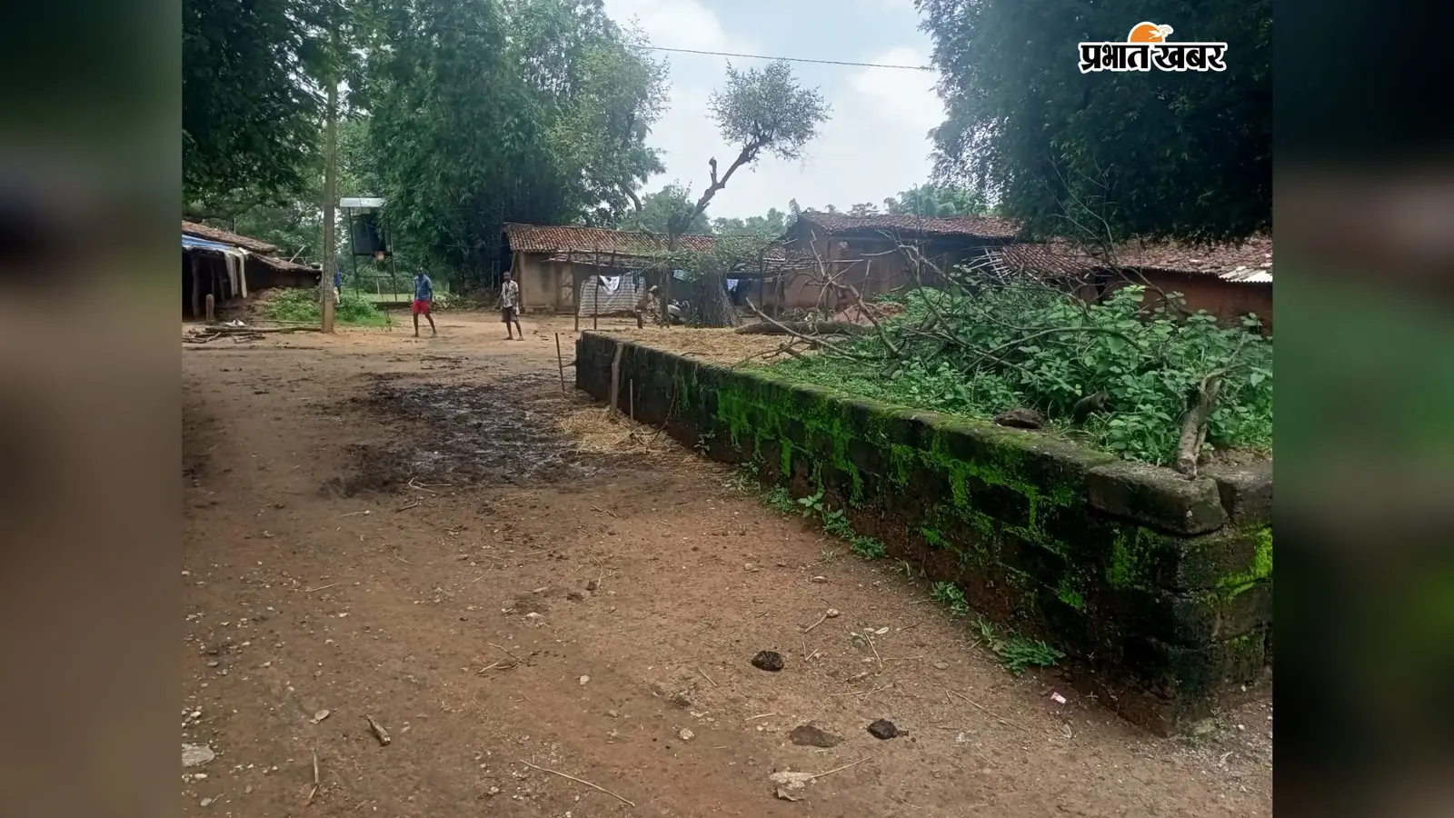 आजादी के 79 साल बाद भी सड़क का इंतजार! डहुटोली के 34 परिवार पगडंडी के सहारे, पानी के लिए कुआं ही सहारा