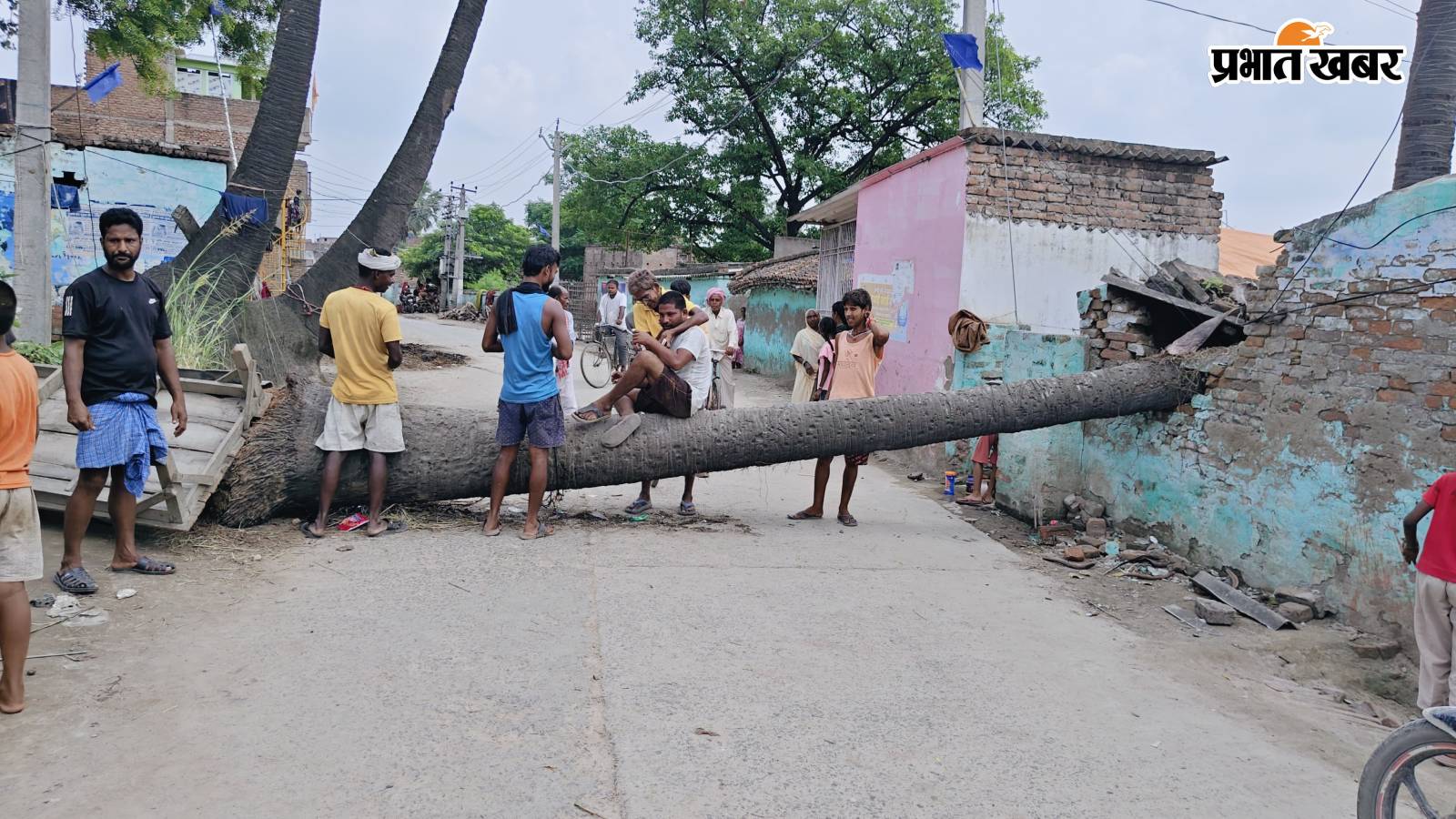 शंकरडीह में महादलित परिवार के घर पर गिरा पेड़, मकान ध्वस्त.