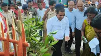 बनैलीपट्टी में 1000 लोगों की तिरंगा यात्रा, 150 प्रतिभाओं का सम्मान, डीएम ने किया पौधरोपण