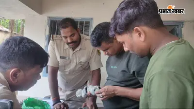 बच्चों के खेल-खेल में नदी किनारे निकला करोड़ों का 'खजाना'! बांका में बुद्ध की इस मूर्ति को देख पुलिस के भी उड़े होश, जानें क्या है रहस्य